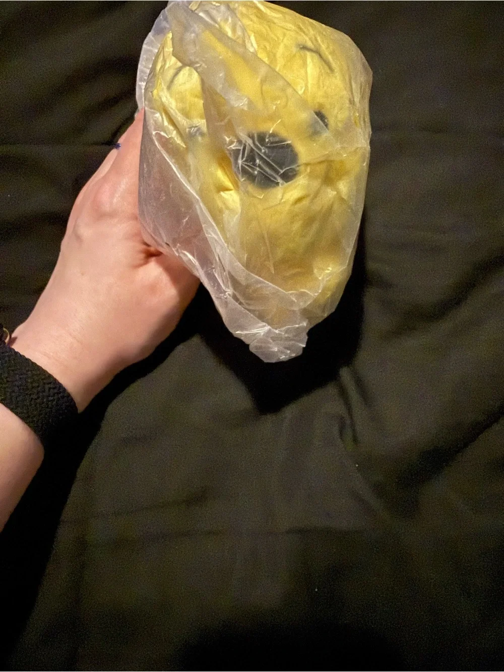 Plush Winnie The Pooh Bag